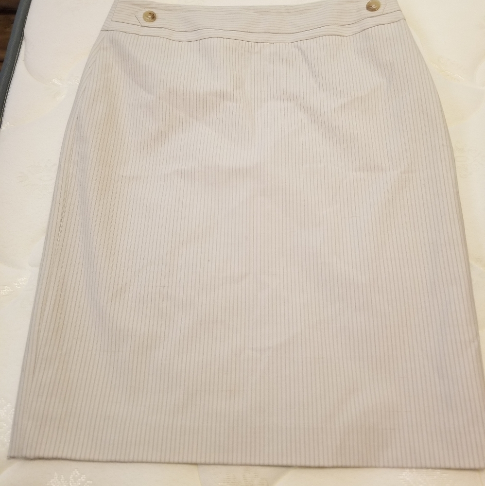 Pin striped skirt